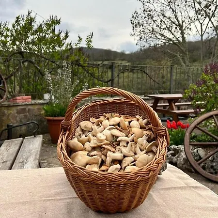 La Del Santuario 3*